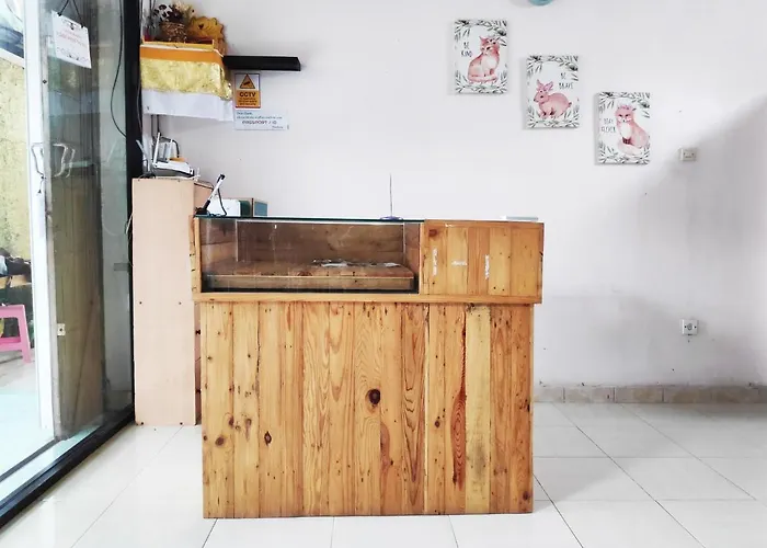 Oyo 90884 Rori Homestay 2* Sanur
